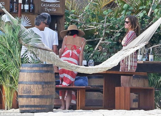 2449406500000578-2888358-image-a-1_1419702380417