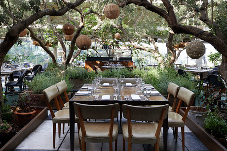 _DSC4931-final-done copy