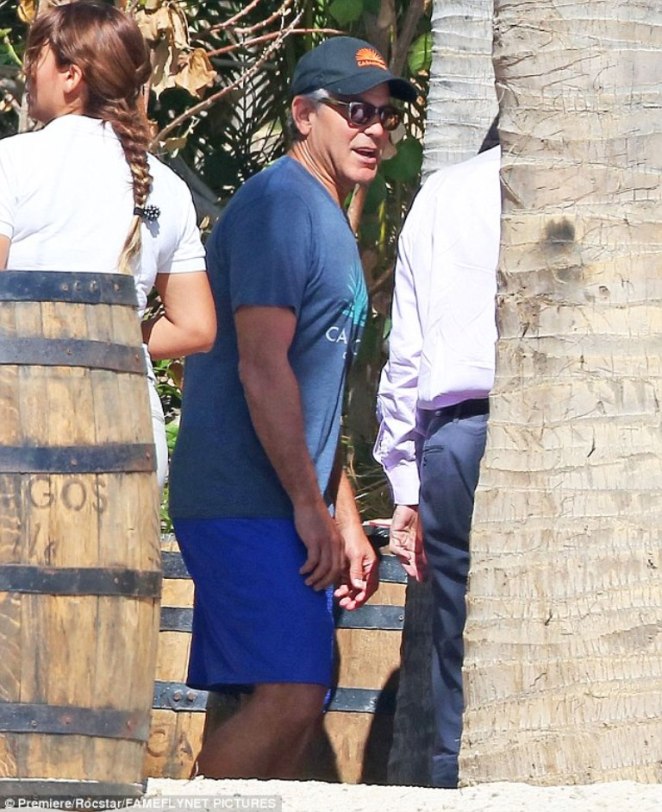 24618A6300000578-0-image-a-46_1420235730951