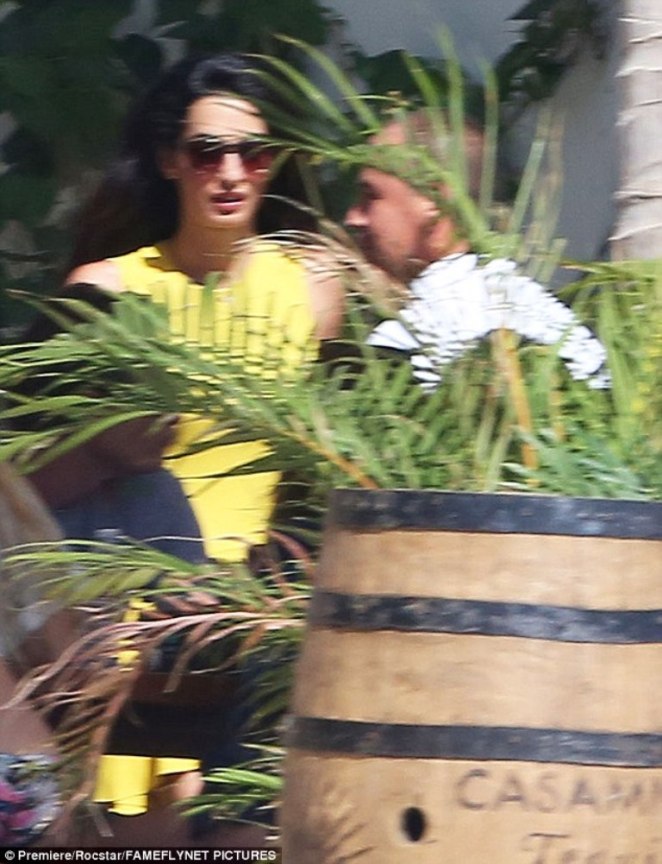 24618A8000000578-0-image-a-44_1420235512815