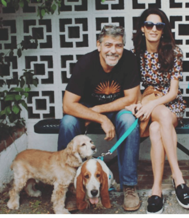 Screenshot_2015-10-29-05-36-50