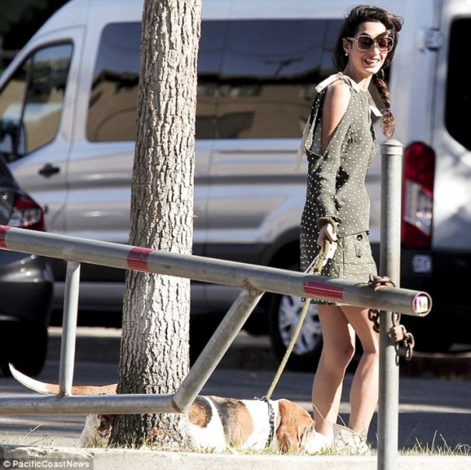 39199eab00000578-3822181-image-m-21_1475615209914