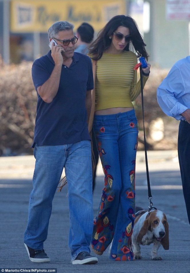 399104db00000578-3857770-image-m-16_1477009724841