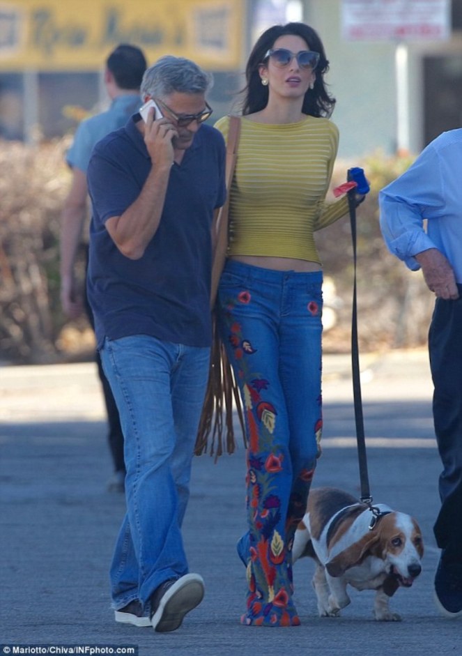 3991067f00000578-0-image-a-8_1477008710082