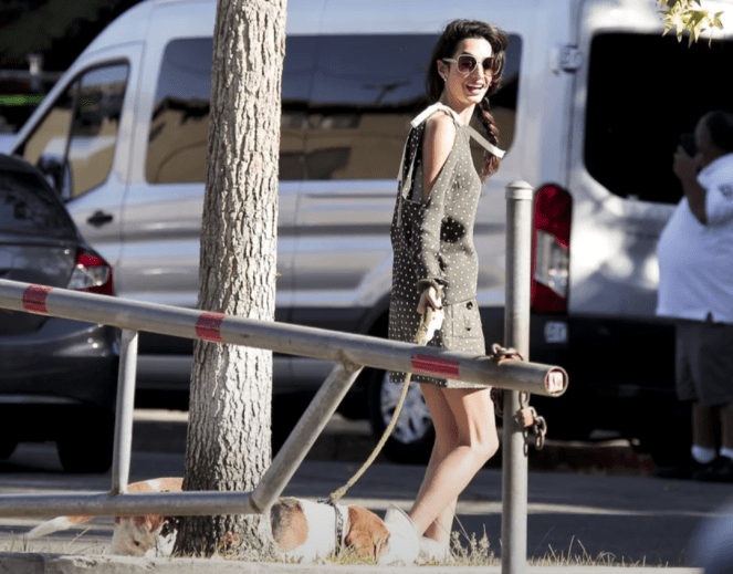 screenshot_2016-10-05-06-27-46