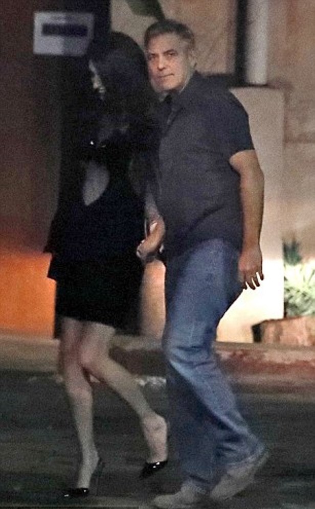 3cc7650500000578-4186994-joyous_the_lovely_lawyer_wore_an_infectious_smile_on_the_dinner_-a-115_1486108581715